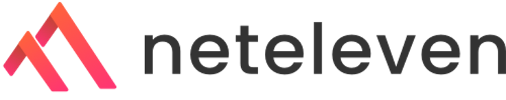 A logo featuring the word 'neteleven' in modern font, accompanied by a stylized mountain graphic in gradient colors.